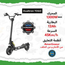 DUALTRON-TOGO-48V-12Ah (1)
